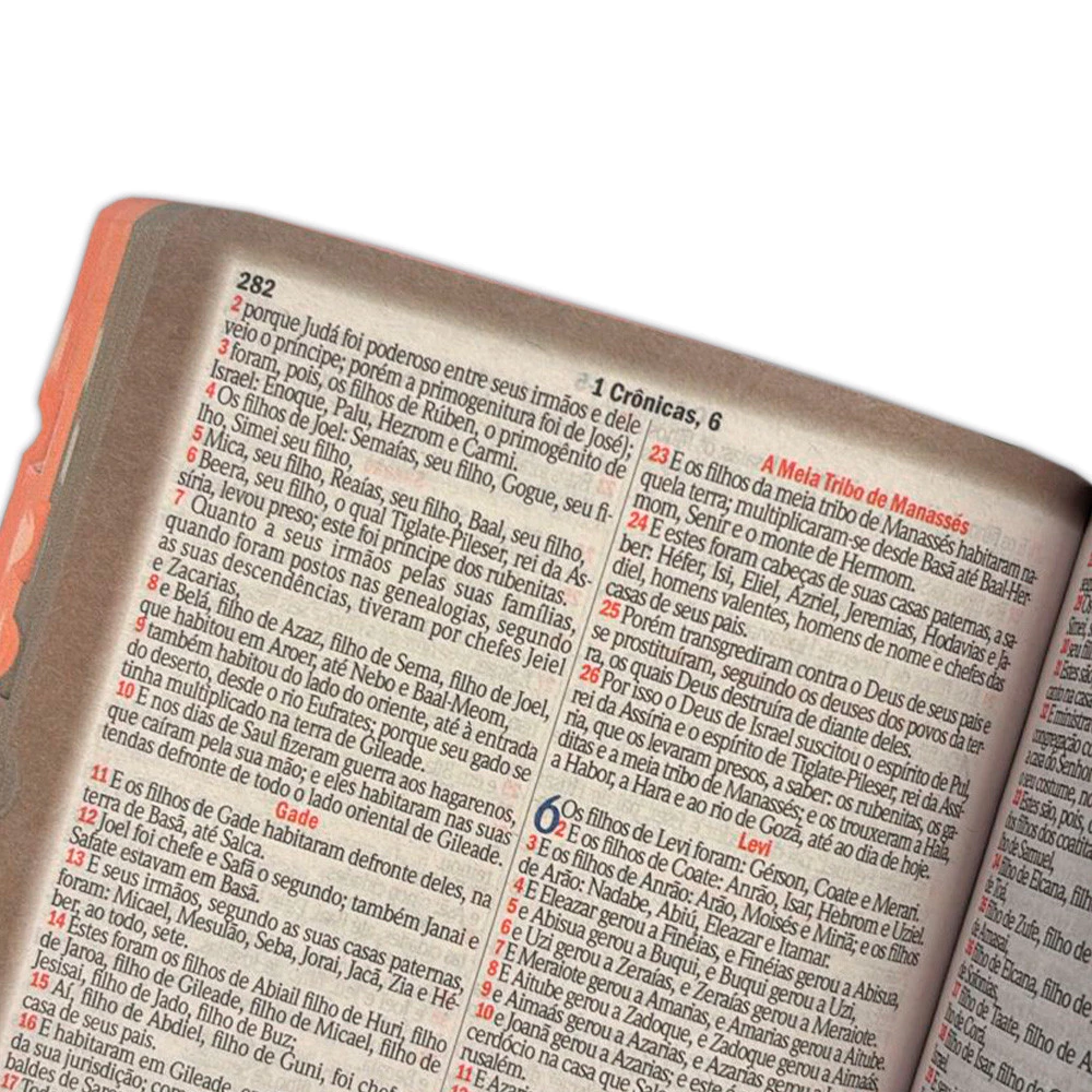 Women's Holy Bible - Pink Button | ARC - Almeida Corrected Magazine with Harp and Side Index image 2